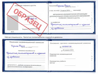 Обучение Пропитчик пиломатериалов и изделий из древесины