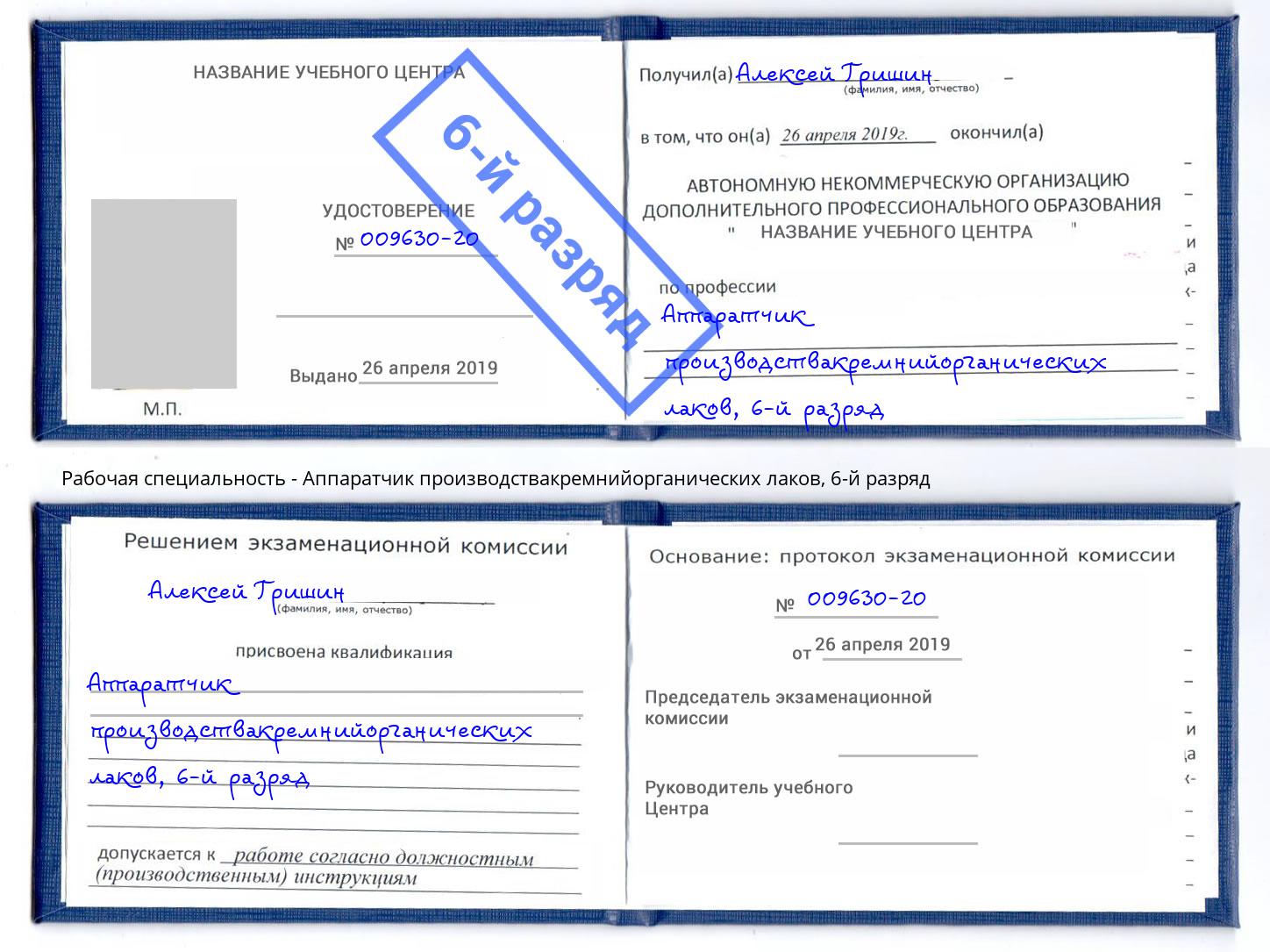 корочка 6-й разряд Аппаратчик производствакремнийорганических лаков Щекино